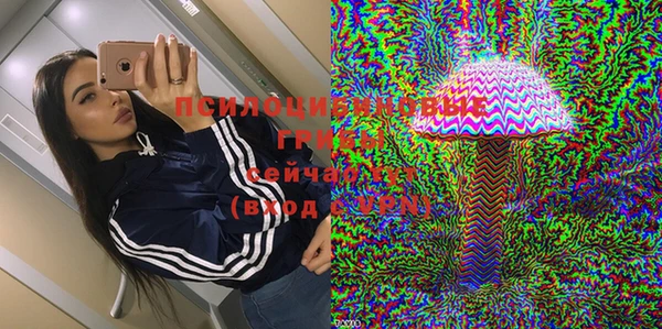 тгк Арсеньев