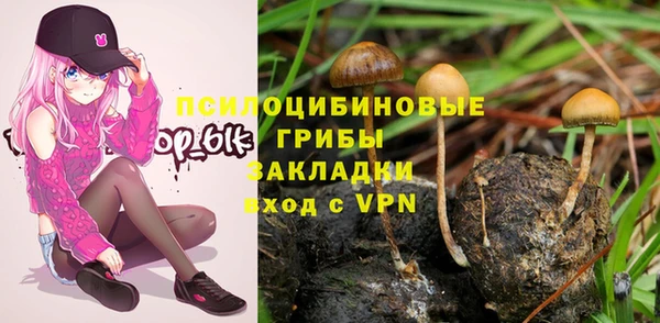 марки lsd Аркадак