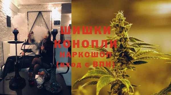 тгк Арсеньев